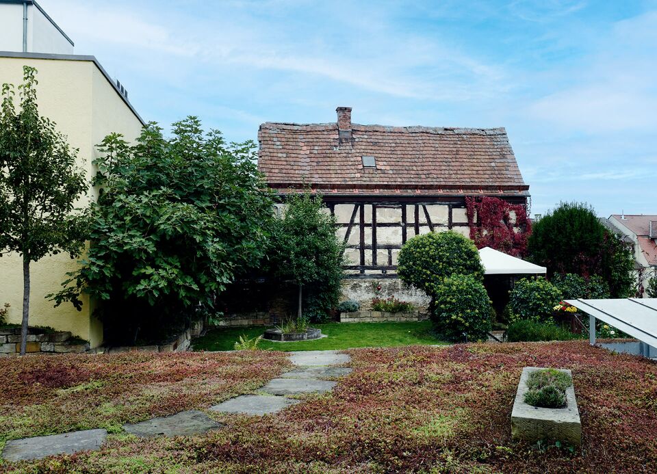 Kinderarztpraxis Mangelsdorf / Blick in den Garten